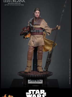 Trang Chủ 80 Hot Toys MMS854 Star Wars: Return of the Jedi Leia Organa (Boushh Disguise) 1/6th scale Collectible Figure