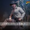 Hot Toys Indiana Jones (Temple of Doom) 1/6th scale Collectible Figure 22 124302is5wveracwcvkkk5