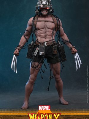 Hot Toys CMS034 Weapon X (Marvel Comics) 1/6th Scale Collectible Figure