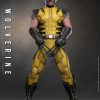 Hot Toys Marvel’s Wolverine - 1/6th scale Wolverine Collectible Figure 9 imgi 71 163932zm7z1sm12m8b1a4k
