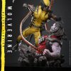 Hot Toys Marvel’s Wolverine - 1/6th scale Wolverine Collectible Figure 15 imgi 88 164527xuy5452y5r12rujn